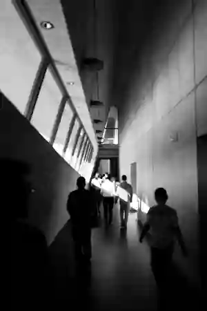 Photo - Crossing the light