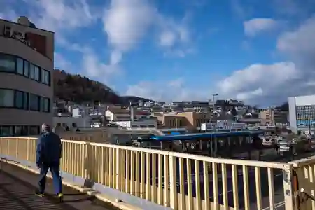 Photo - Climbing up to an overhead bridge