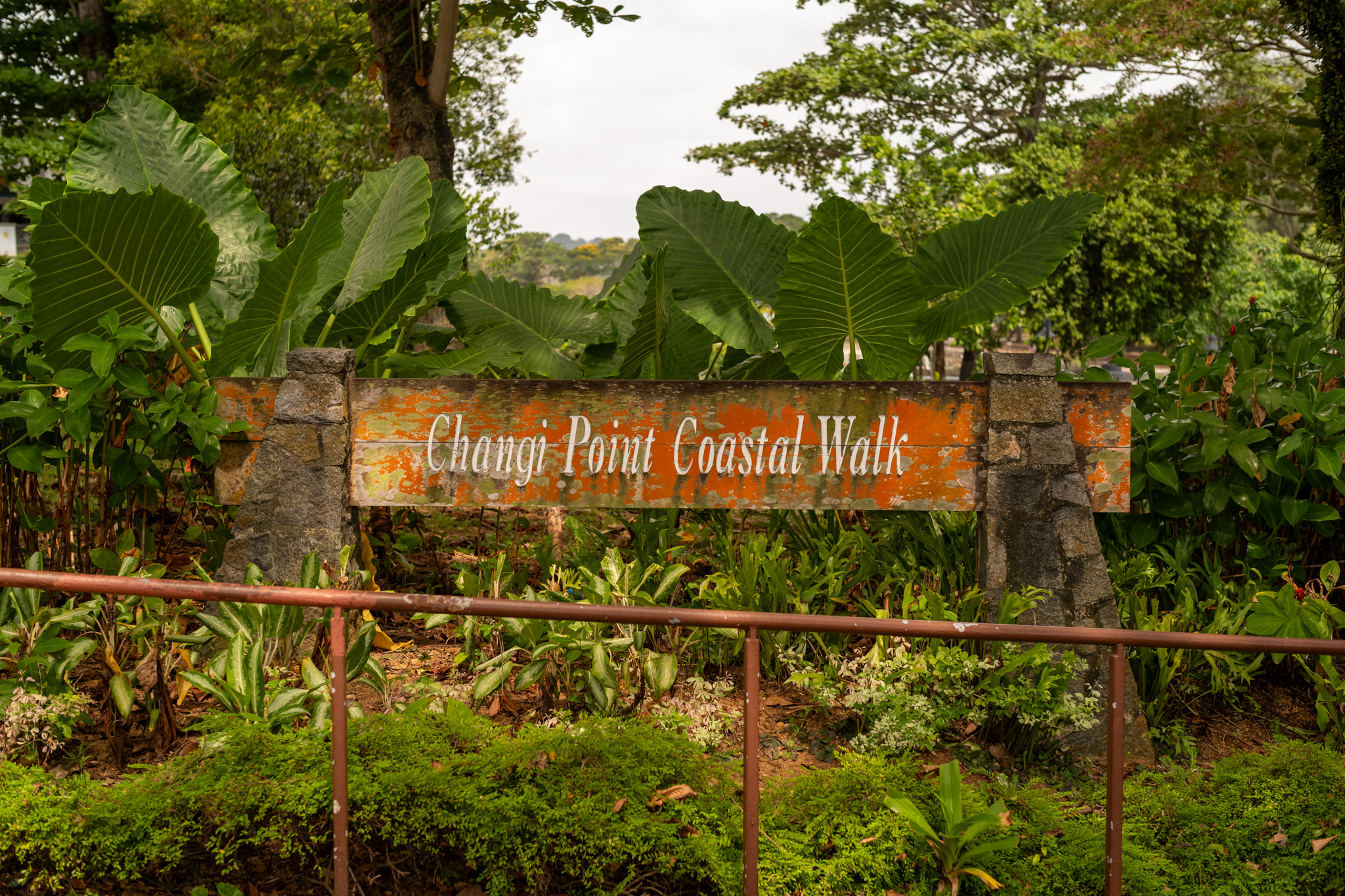 Photowalk: Changi Village with John section image