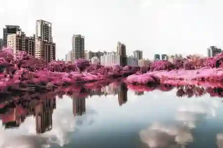 Photo - Pink Urban