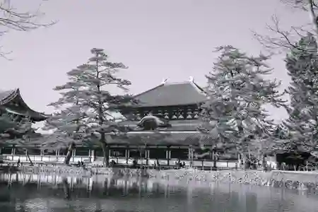 Photo - 東大寺2