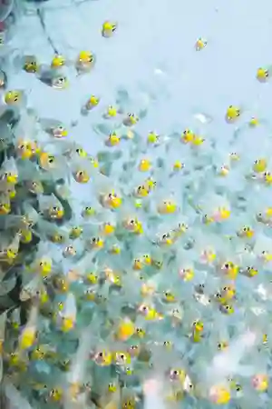 Photo - Underwater Bees