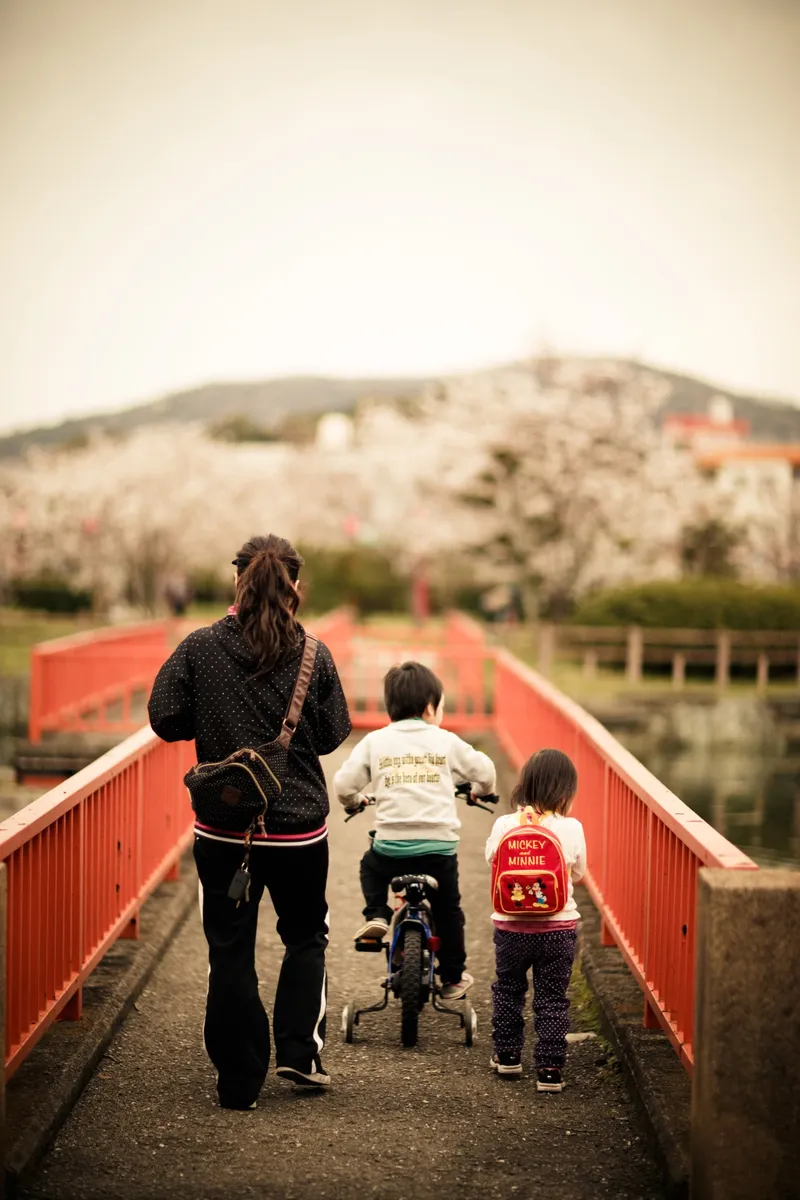 Walk the sakura season