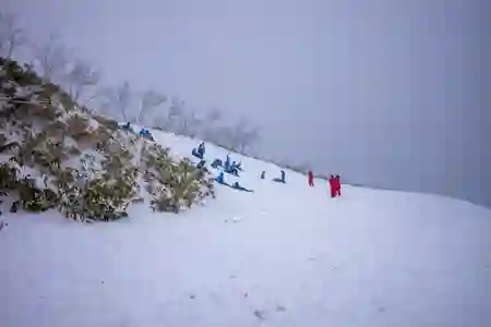 Photo - Groups of Japanese students at Gondola Summit