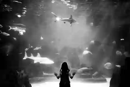Photo - In the Rium