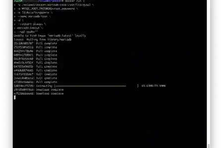 Photo - Installing MariaDB on Synology – missing the new updated MariaDB options in screenshot. Please make sure you use the commands above