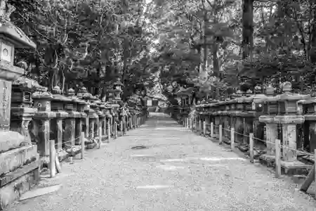 Photo - Long walkway