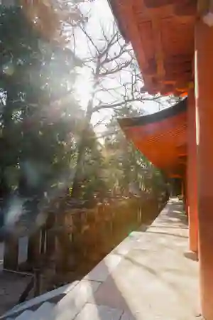 Photo - Temple 2