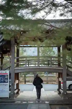 Photo - John under the bridge