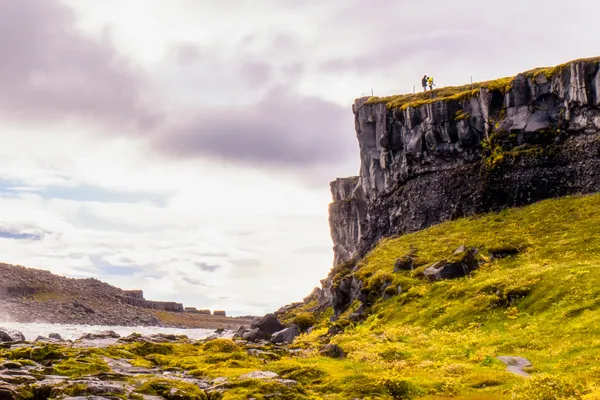 Dettifoss and Family