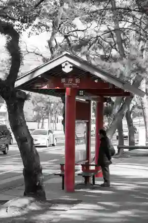 Photo - Bus Stop