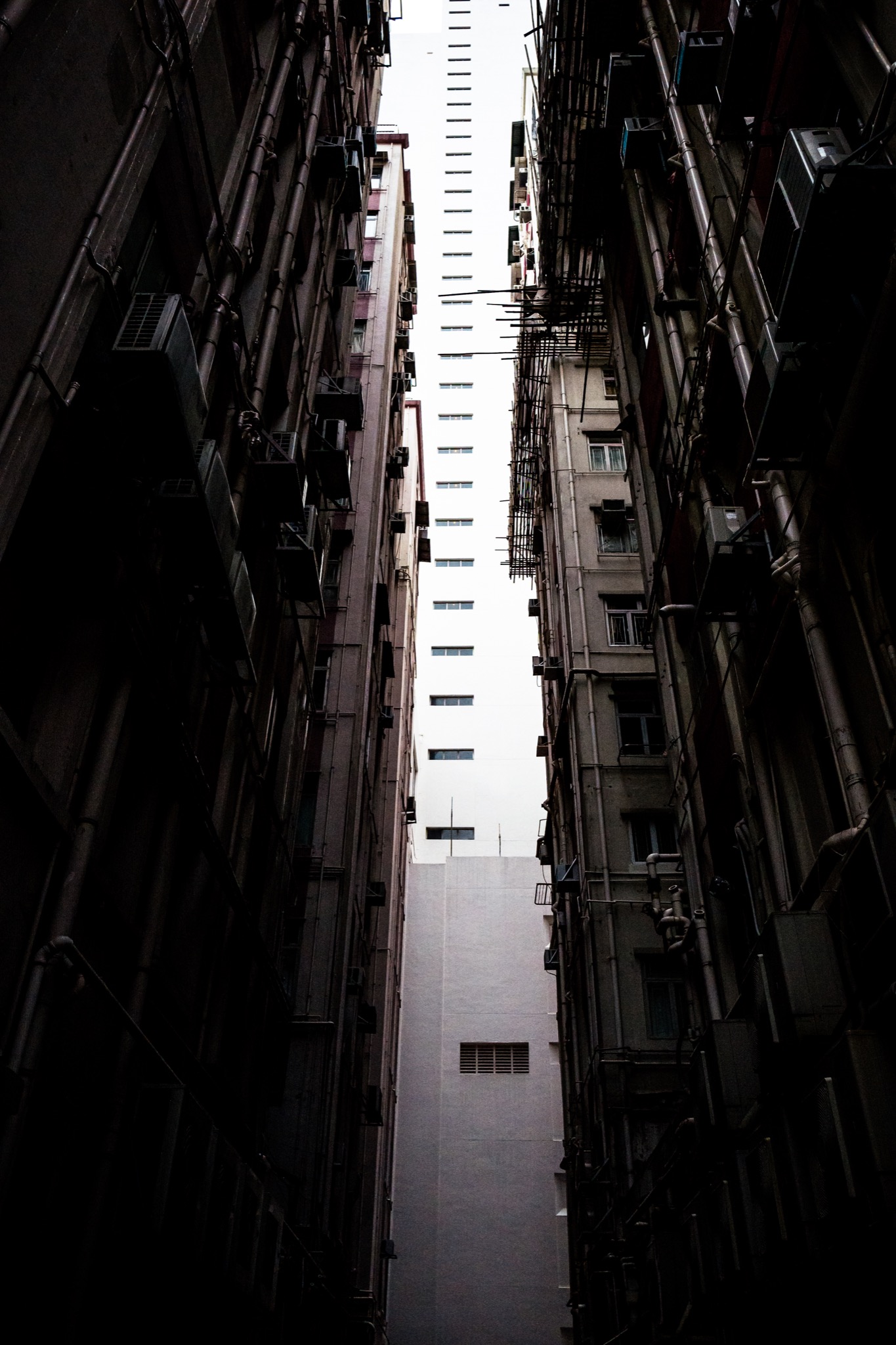 Photo - New in Between Old