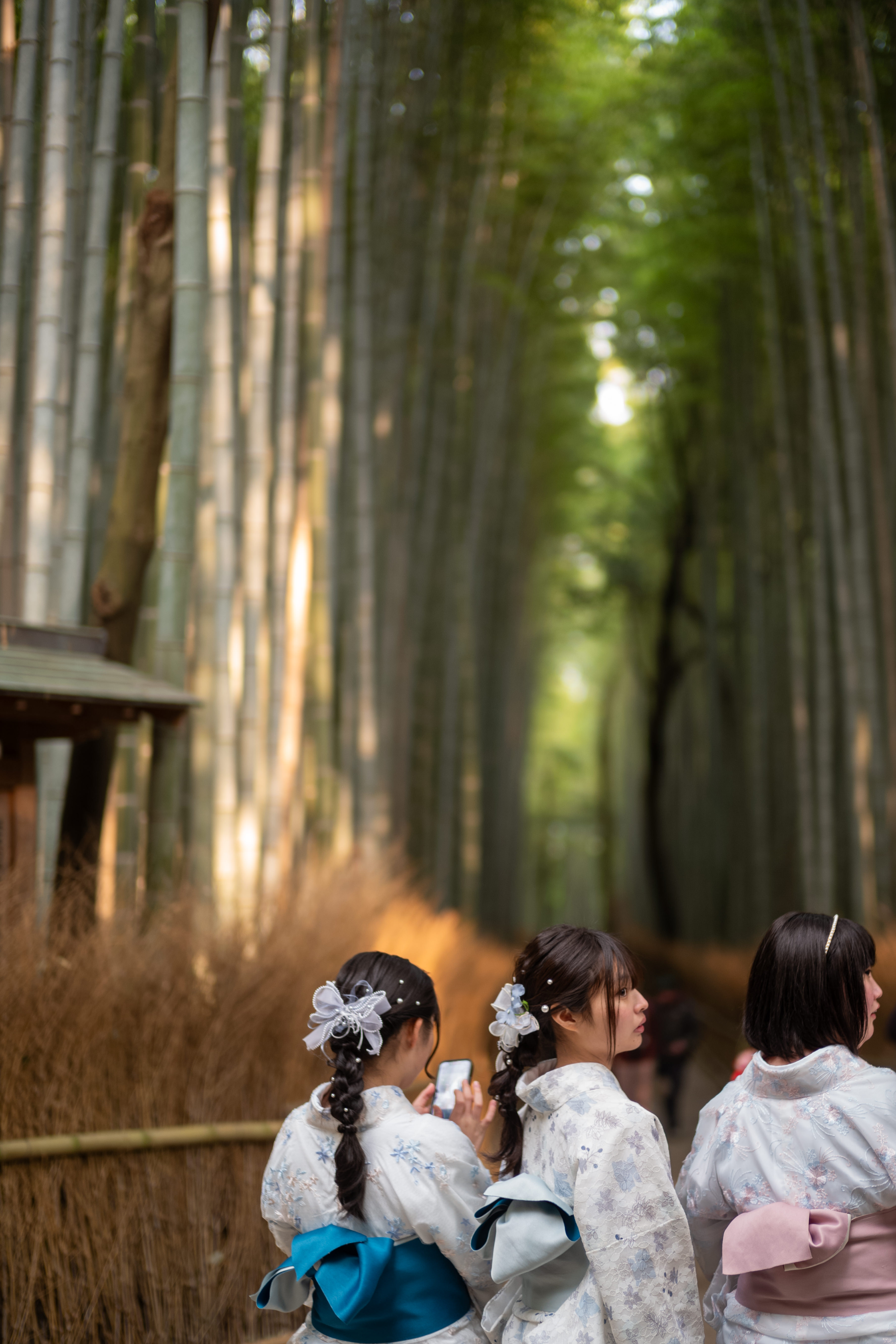 Photo - Arashiyama Bamboo Forest 嵐山 竹林 Stroll