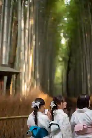 Photo - Arashiyama Bamboo Forest 嵐山 竹林 Stroll