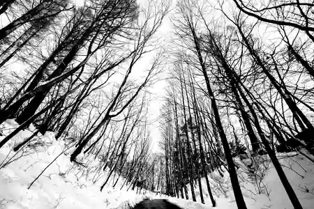 Photo - Sometimes you don't need color