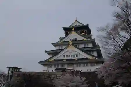 Photo - 大阪城 Osaka Castle 1
