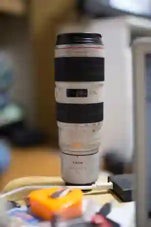 Photo - 70-200 with 2X Extender III