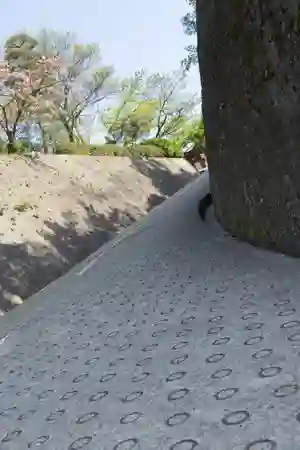 Photo - Roads roads roads