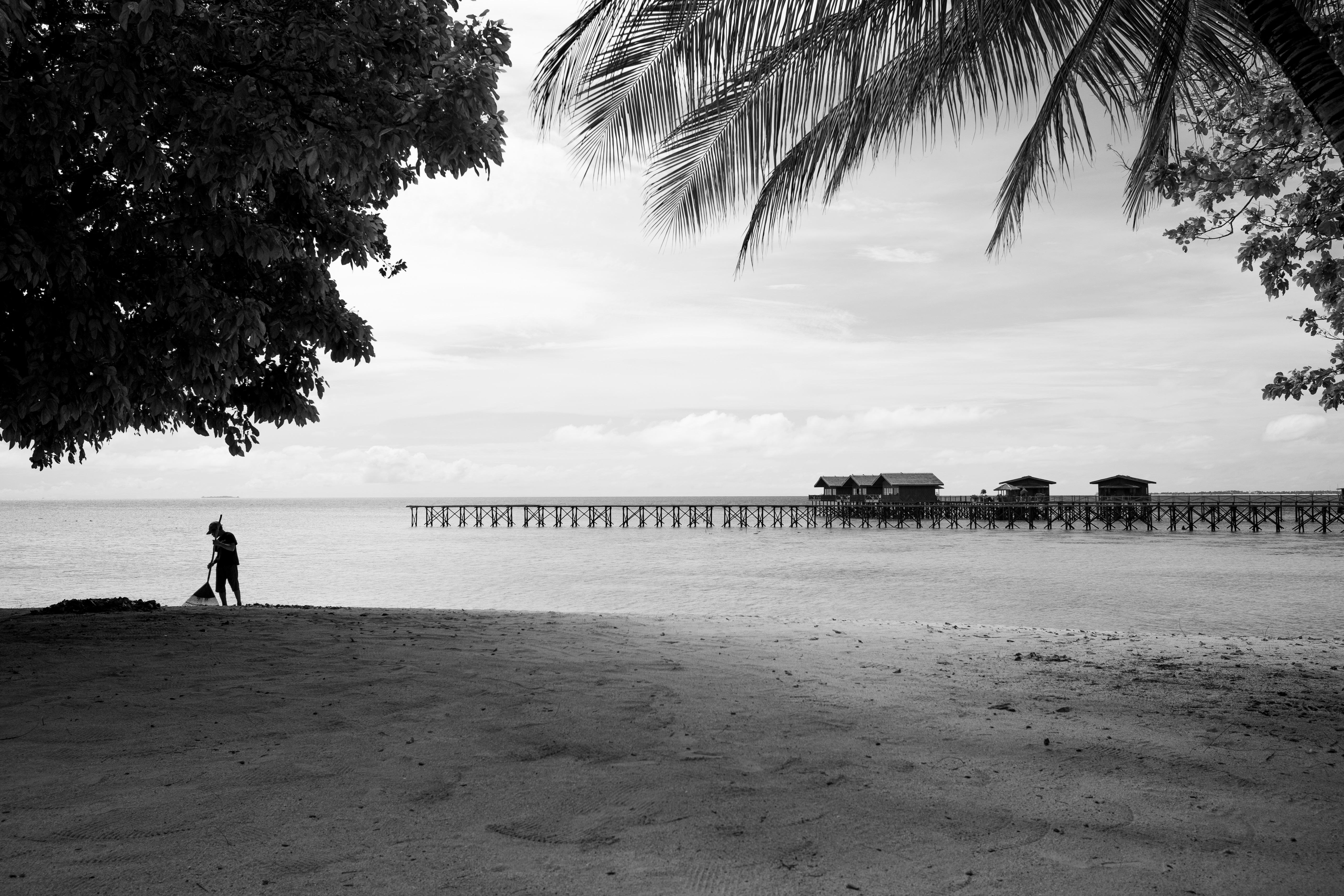 Photo - Cleaning - B&W