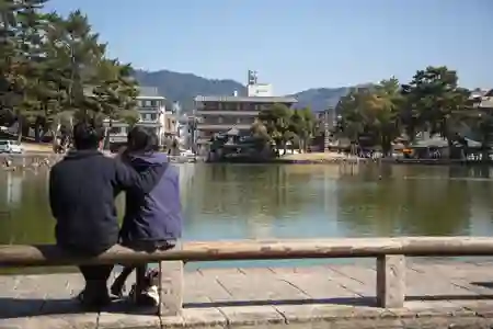 Photo - Couple overlooking pond 猿澤池