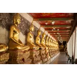 Buddhas-thumbnail