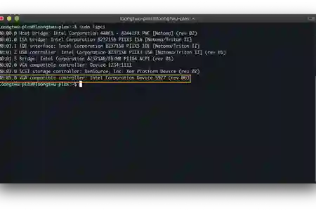 Photo - XCP-ng lspci