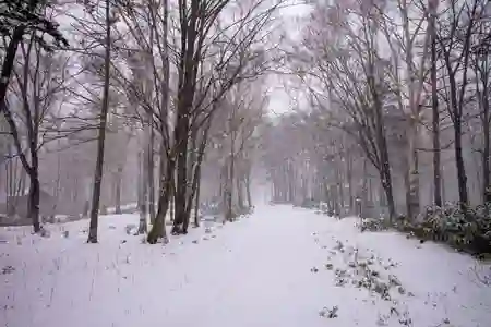 Photo - Attempt to walk to Sahoro Resort Ski Area