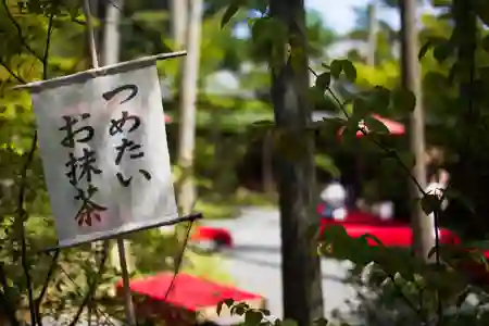 Photo - つめたいお抹茶 - Cold Matcha Green Tea