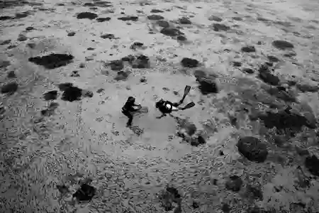 Photo - Surrounded by fishes